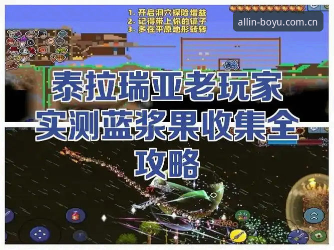 博鱼综合体育2026新版 老玩家实测:博鱼综合体育2026新版使用心得与避坑指南